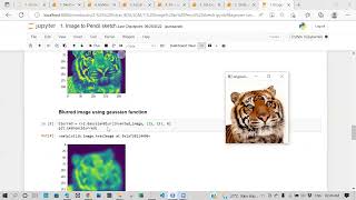 Image to Pencil sketch using Python