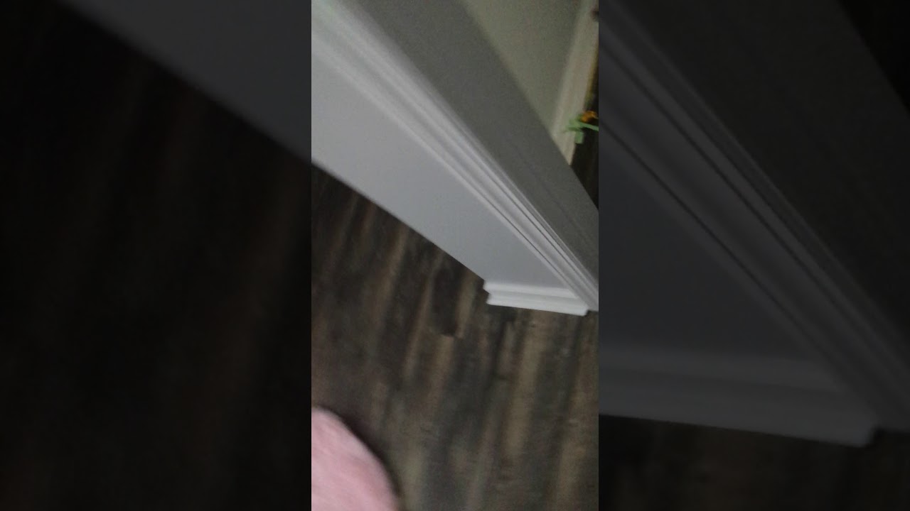 Sonic the Hedgehog the return of parasyte part1 Sonic versus Parasite