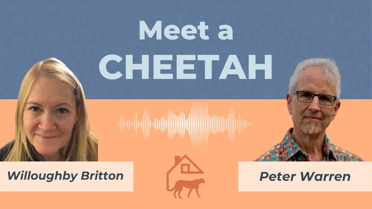 Meet a Cheetah Episode 4: Peter Warren