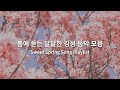 [TOP50] 봄에 듣는 달달한 감성 음악 모음 l Sweet Spring Song Playlist