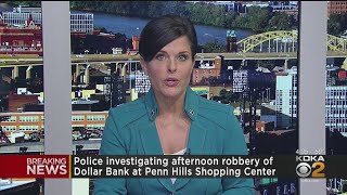 Police Investigating Dollar Bank Robbery At Penn Hills Shopping Center