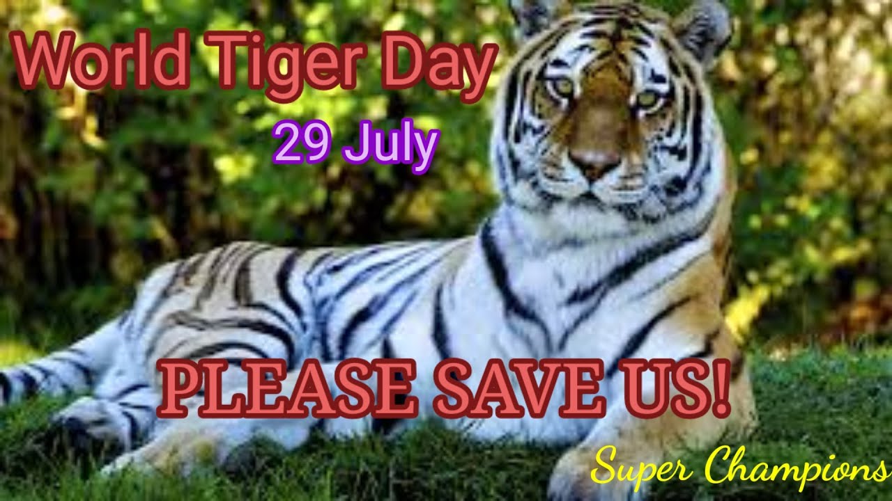 WORLD TIGER DAY 2021 | Global Tiger Day | International Tiger Day 2021| Facts about Global Tiger Day