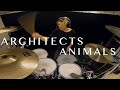 Architects - Animals | Drum Cover • Gabriel Gomér