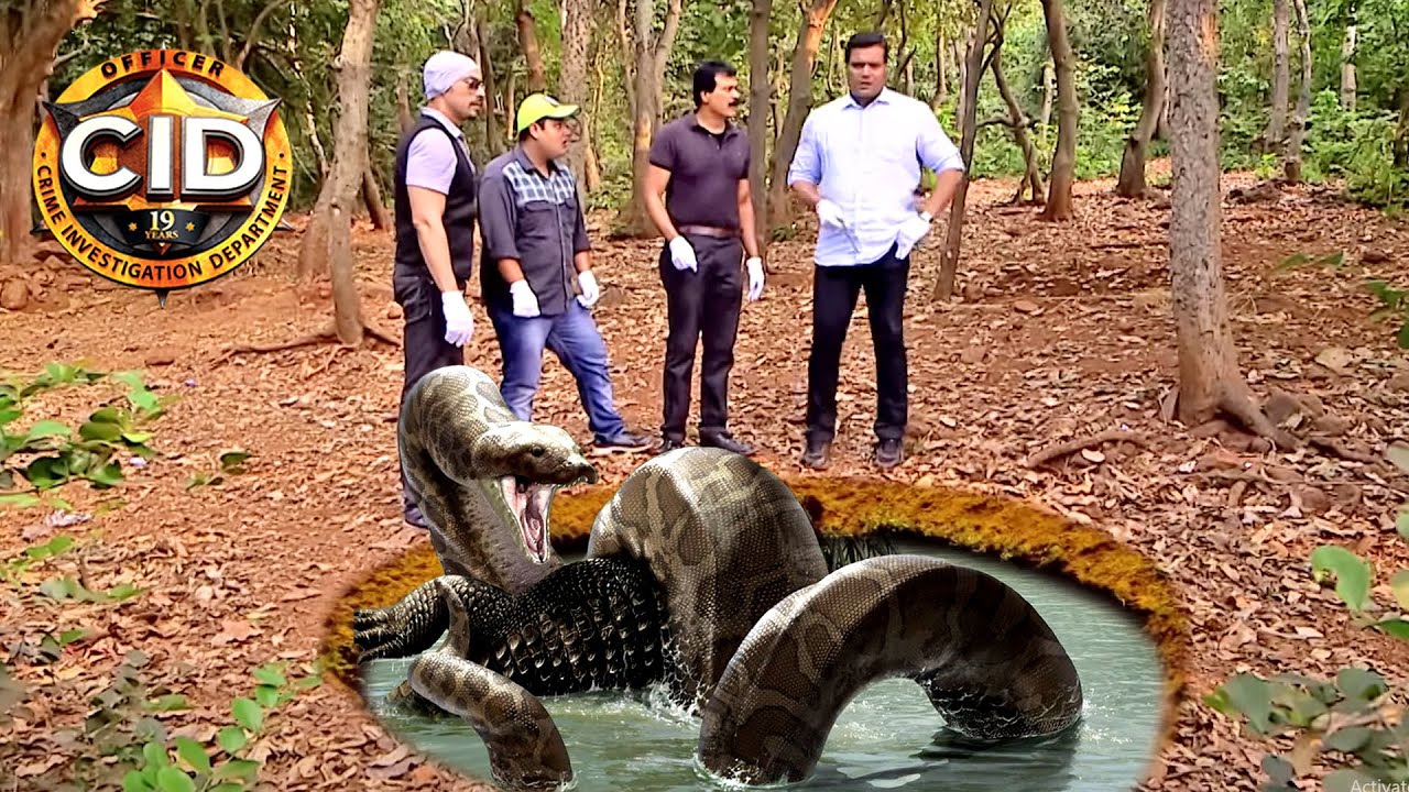 শুধু সিমেন্টে শরীর || সিআইডি CID || bengali crime series- 2024