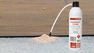 Killing Termites with Termidor Foam