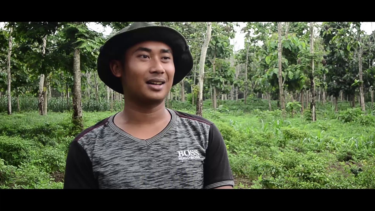 PROBLEMATIKA PERTANIAN DUSUN UNGKALAN