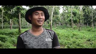 Download Lagu PROBLEMATIKA PERTANIAN DUSUN UNGKALAN MP3