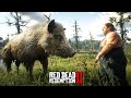 PORCOS DE S4NGUE - O SEGREDO DO JAVALI GIGANTE  -  Red Dead Redemption 2