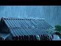 Rain on Tin Roof 🌧️ Peaceful Night for Deep Sleep & Relax