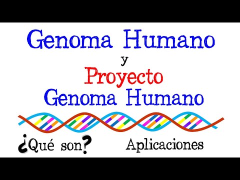 Video: ¿Cuál es el proteoma más grande frente al genoma?