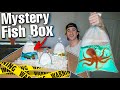 BUYING CREEPY BAT FISH MYSTERY BOX... (what's inside?)