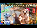 Meet the Happy Birds of Birdsmas | 40 Minutes of Animal Stories | Dodo Kids