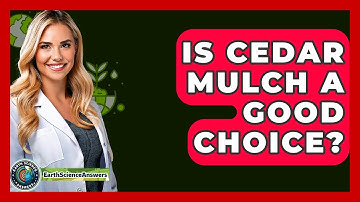 Is Cedar Mulch A Good Choice? - Earth Science Answers