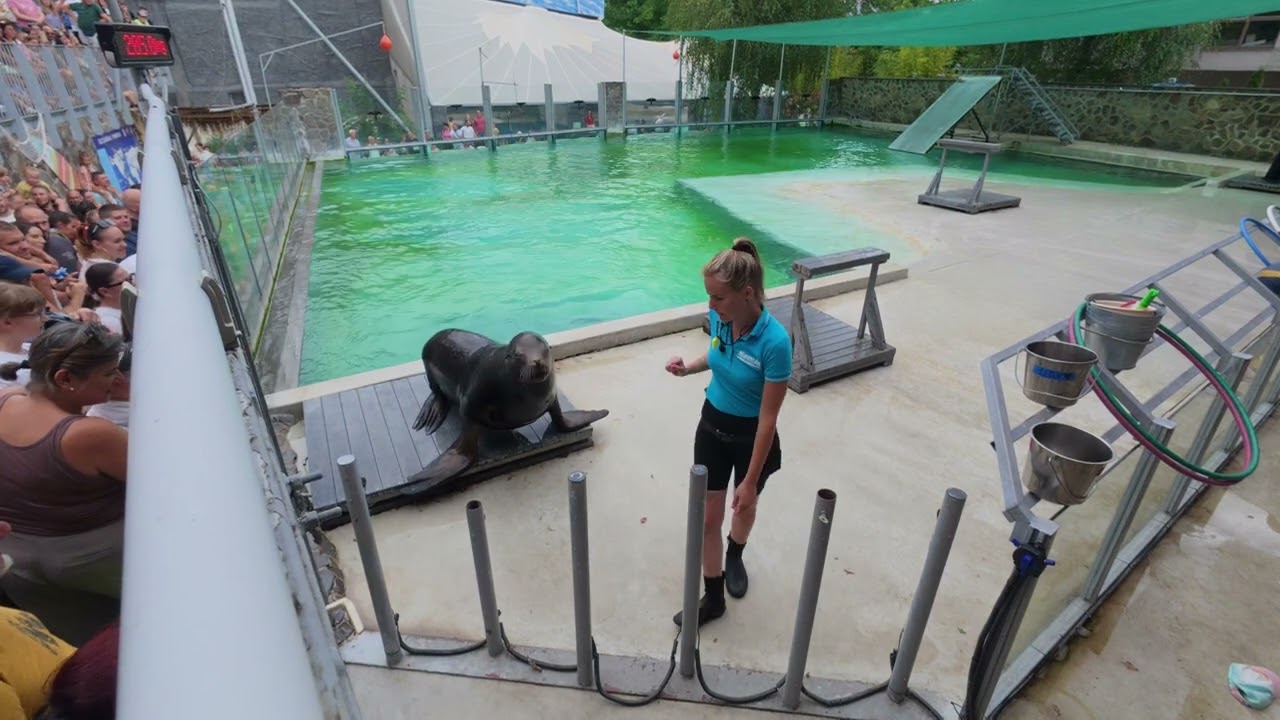 Tulenia show - Nyiregyhaza - (Hungary)