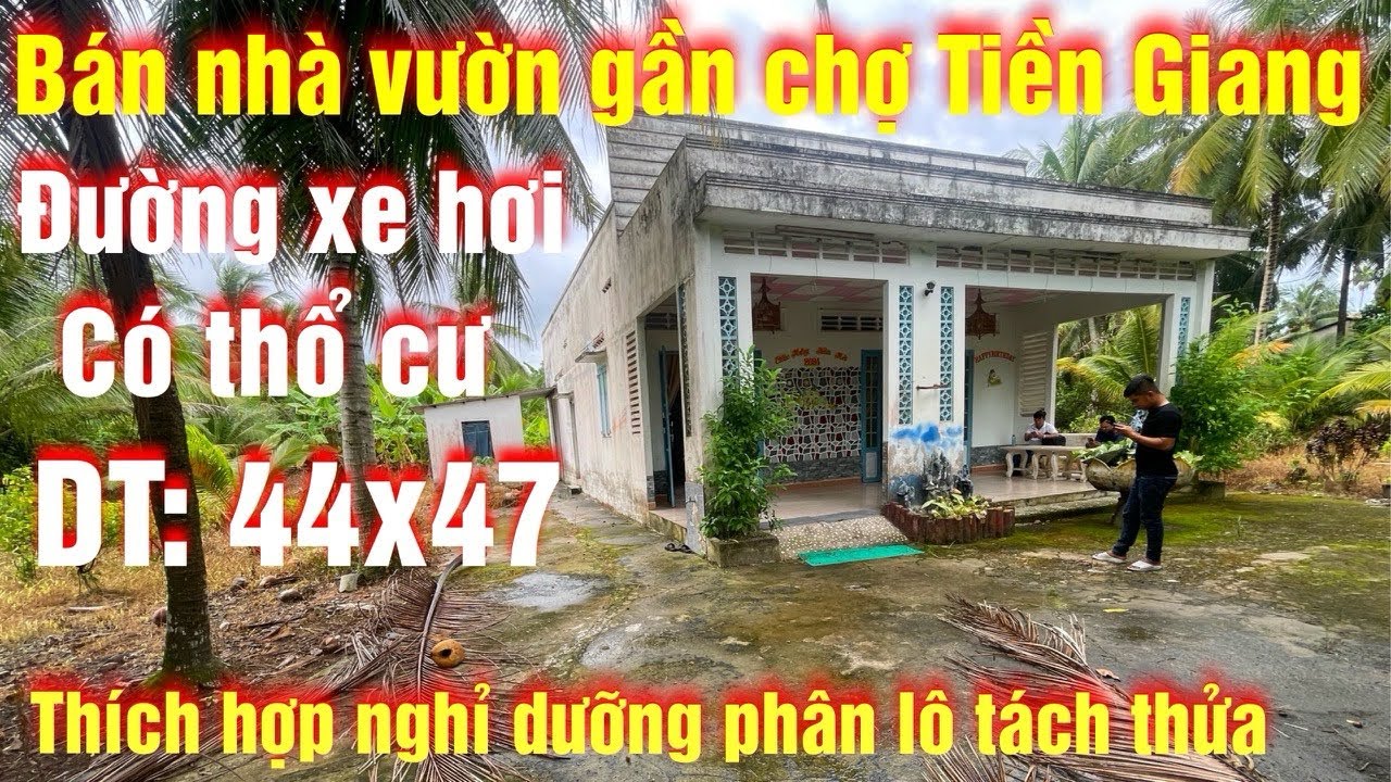 Tập 375 ngợp nợ quá trời cần bán căn nhà vườn  gần chợ gần trường học, tại tiền giang 