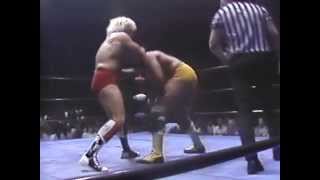 Ric Flair vs Butch Reed