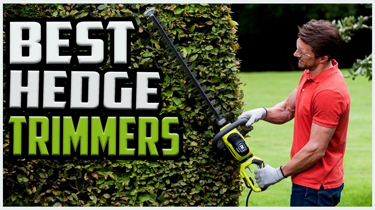 Top 5 Best Hedge Trimmers in 2022 reviews For garden - YouTube