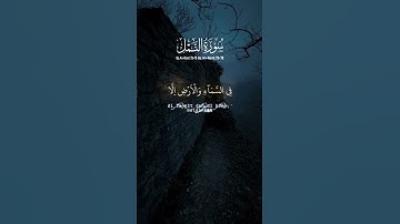 سورة النمل #المصحف #القرآن_الكريم #اكسبلور #صلوا_على_النبي #تلاوة_خاشعة #حالات_واتس #الرحمن