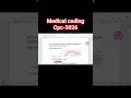CPC - 2026 important anatomy &amp; medical terminology questions #cpcexam #cpctraining #medicalcoding