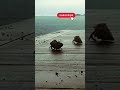 shell race on table what happened #viral #beach