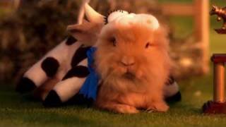 New York Lottery Sweet Million Bunnies