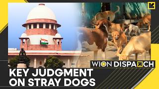 India: Supreme Court Allows Killing of Rabid Stray Dogs, Refuses to Recall Order | WION Dispatch