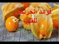 فوائد الحرنكش لصحه القلب 