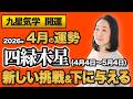 【占い】2026年4月の四緑木星の運勢・九星気学【新しい挑戦＆下に与える】（4月5日～ 5月4日）仕事・健康・人間関係