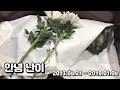 [ENG]안녕 난이(부제. 고양이 심장병 HCM)