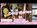 Cozy diaries / ep2 | home vlog | #winter #chicago #illinois #usa #puppy #ziema #cozy