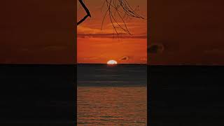 Golden hour is my happy hour