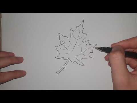 Video: Kako Nacrtati Jesenski List