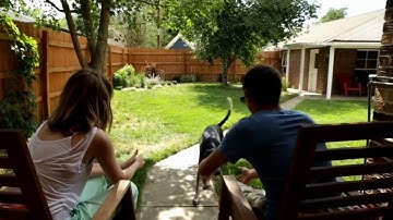 Rachio GEN2 16 Zone Sprinkler Controller