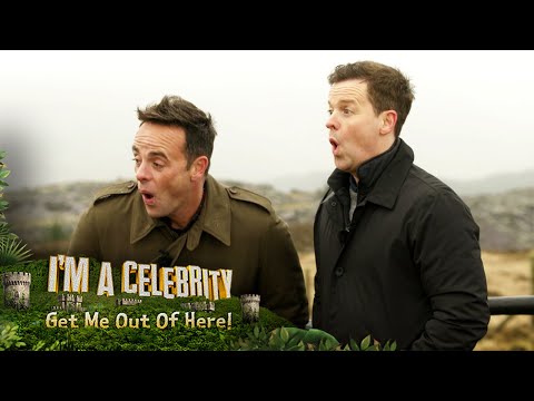 Trial Tease: Walk The Plank | I'm A Celebrity... Get Me Out Of Here!