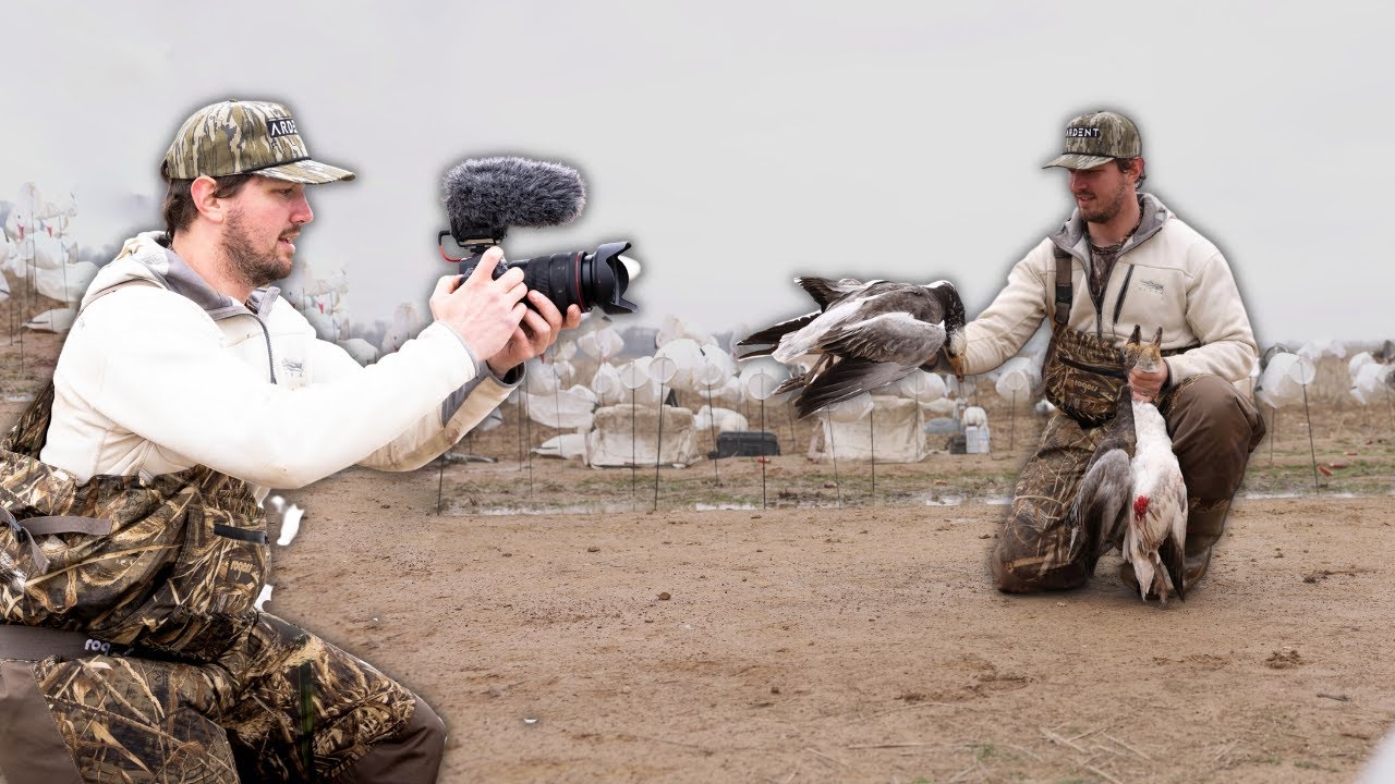 HUGE GROUPS of Snow Geese in the DECOYS Filming and Hunting SNOW