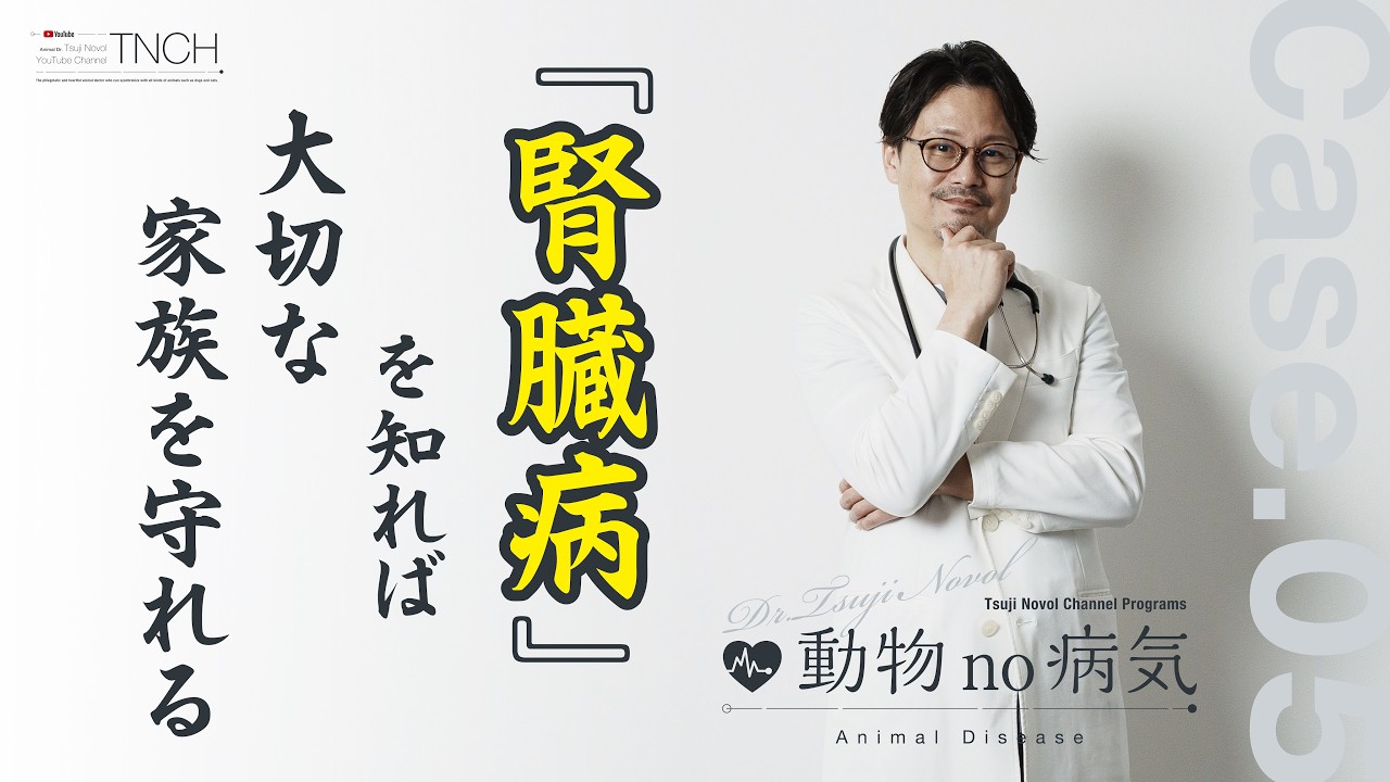 JAHA オンラインセミナー　腎臓病学 DVD 獣医師 maxresdefault.jpg