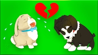 Kids Learn Educational Friend with Peppy Pals Farm - Friendship | Fun Educational Games For Children screenshot 4