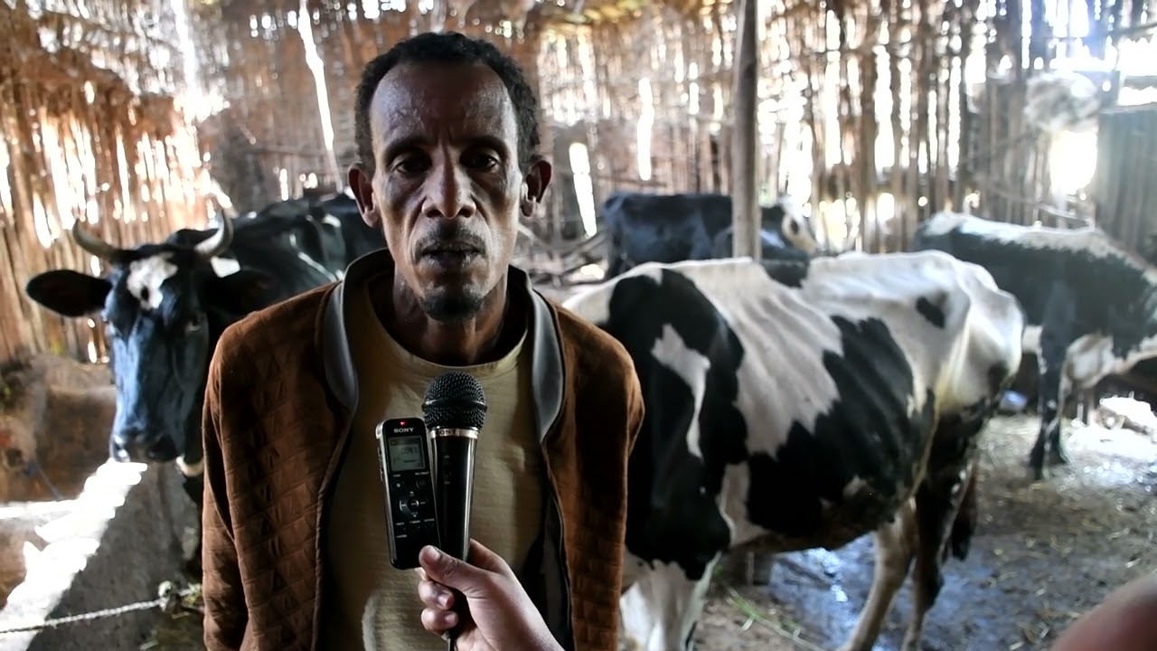 መንግስት በአመቻቸላቸው የስራ እድል ጠጠቃሚ መሆናቸውን በደሮ እርባታ ማህበር የተደራጁ ወጣቶች ተናገሩ፡፡