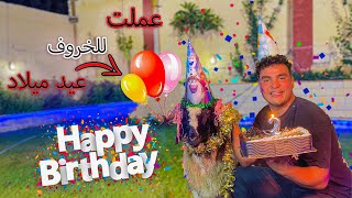 اشتريت خروف العيد?وعملتله عيد ميلاد?(مش هتتوقعوا ايه رد فعل الخروف)??? | سيف عماد