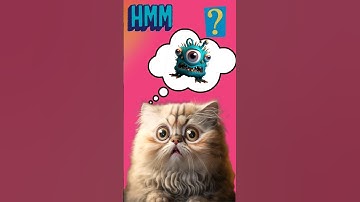 Can you solve this scary math riddle? #riddles #brainteasers #riddleswithanswers #shorts #iq #cat