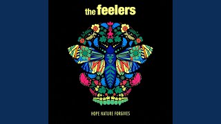 Miniatura del video "The Feelers - Right Here Right Now"