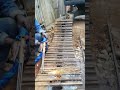 MELTING BOLT STEEL HEAD USING CUTTING TORCH DURING EXCAVATOR'S TRACK CHAIN REPAIR
