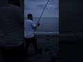 Catching buttz on the beach. #alaskahalibut #halibut #alaska #fishing #beach #beachlife #beachfishin