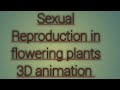Sexual Reproduction in flowering plants in 3D wiev