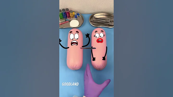 Goodland's CRAZY Sausage Animation Will Leave You SPEECHLESS