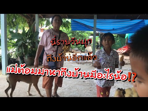 ผลสลากกินแบ่งรัฐบาล วันที่ 1 พย. 2567