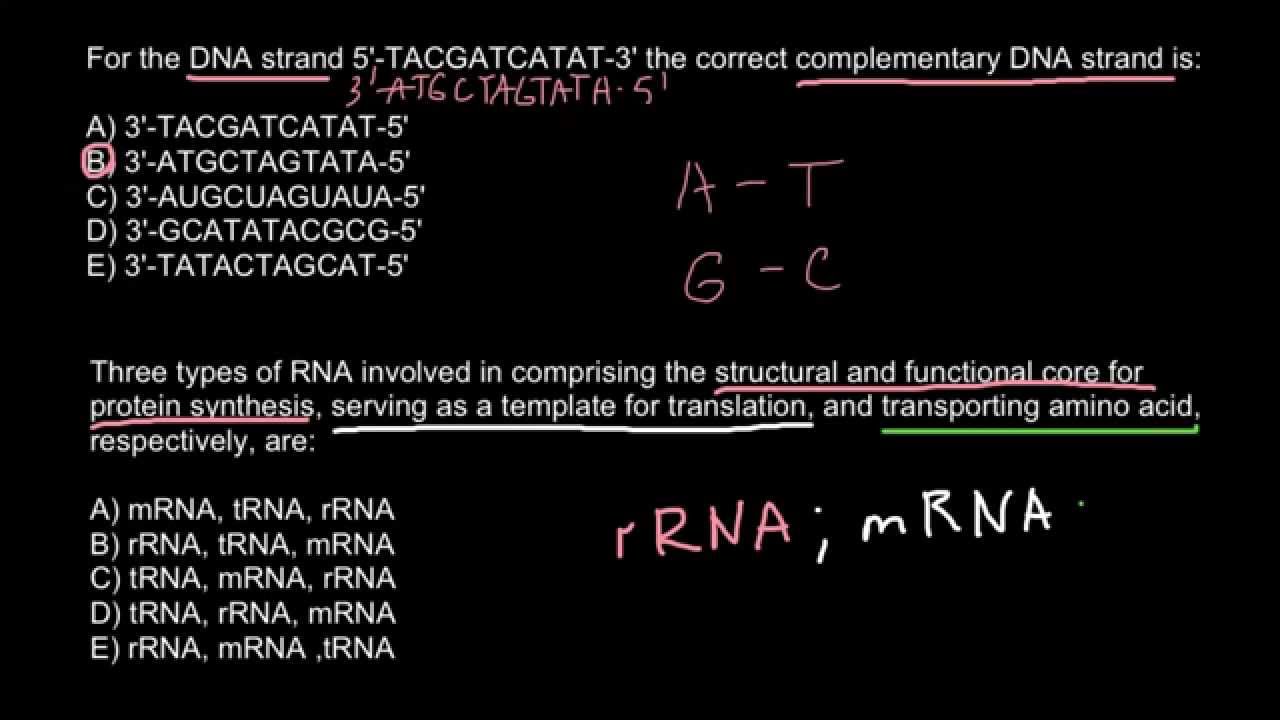 three types of rna youtube 3 types of rna