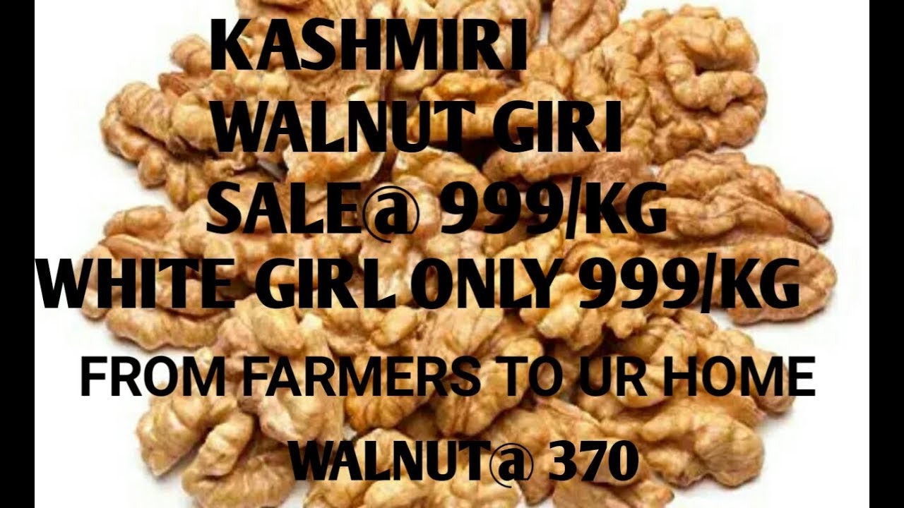 Kashmiri walnuts kashmiri Drfruits Wholesale 7006882492/whole process from Harvest to