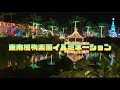 東南植物楽園イルミネーション