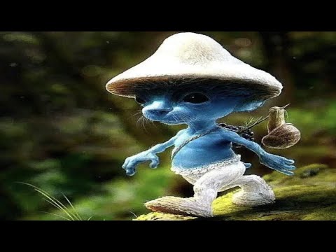 We love noiseshaper. We love we lie шайлушай. We lie. We love design. We love we lie шайлушай.